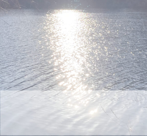 steady mind, shining inwardly and outwardly: mediation foundations & yoga for the face