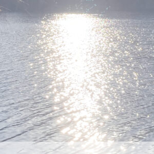 meditation foundations & yoga for the face