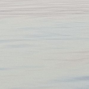 private classes for groups - in person